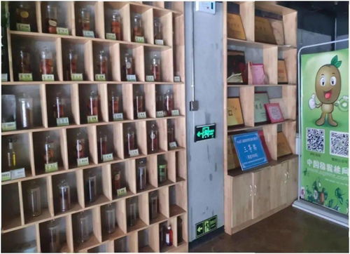 數(shù)字經(jīng)濟展示 獼猴桃網(wǎng)平臺建設項目