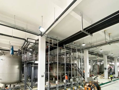 科學家發(fā)現(xiàn)衰老逆轉(zhuǎn)關(guān)鍵分子，富人圈爭相追捧，市場規(guī)模或達300億